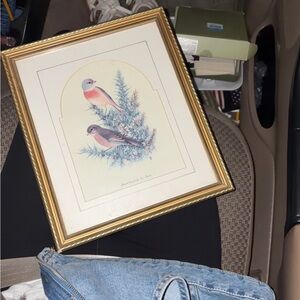 Vintage framed bird print by tom banks